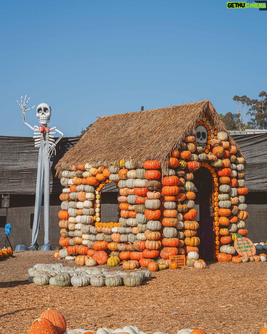 Dawn McCoy Instagram - Just a reminder - you’ve got 2 days left to visit @mrbones Pumpkin Patch and have 20% of your ticket sales go to our nonprofit, @lovingwayfoundation, benefiting for victims of child abuse and their families. A perfect reason to visit the pumpkin patch! 🎃 And I just want to take a minute to thank our partners who so generously contributed to our 2nd annual HalloWAY with @mrbones. Thank you… @onceuponafarm (& @jennifer.garner & @staceysgraham) for your delicious fresh fruit & veggie pouches and new refrigerated oat bars (Way’s favorite is the immunity pouch! Perfect for kiddos who can only enjoy purées due to swallow issues) 🍎 🍌 🥬 @lacroixwater for your delightful variety of sparkling waters that kept us all hydrated and happy as we explored the patch - and thank you to @goodcarmastudio for always connecting us. @thebouqsco for the farm-fresh flowers that added so much light and color to our party! 💐 @thymecafeandmarket - for the scrumptious cheese and charcuterie boards, skewers, sandwiches (MY fave!) cookies, and more that everybody couldn’t stop RAVING about @unitedsodas - with their crisp and refreshing sodas that satisfied kids and adults alike @nyxcosmetics for their special hostess gift for me (thank you, @merrittloughran & @mml_pr ) - including their exclusive, limited edition Halloween collection!!!🎃 And, lastly, thank you to our friends-in-frosting, @hansencakesbakery for always making our events so SWEET! And, again, a VERY heartfelt thank you to our @mrbones family - Lyra, Jenny and the staff and our @mml_pr family who dreamed of this magical yearly day last year and then made magic happen. We are SO lucky and incredibly humbled and grateful. These days just glow in our memory - and they continue to get even better with each passing year.🧡 #HalloWAY2023 #HalloWAY #lovingwayfoundation #mrbones 📷: @andrewcabral_photography