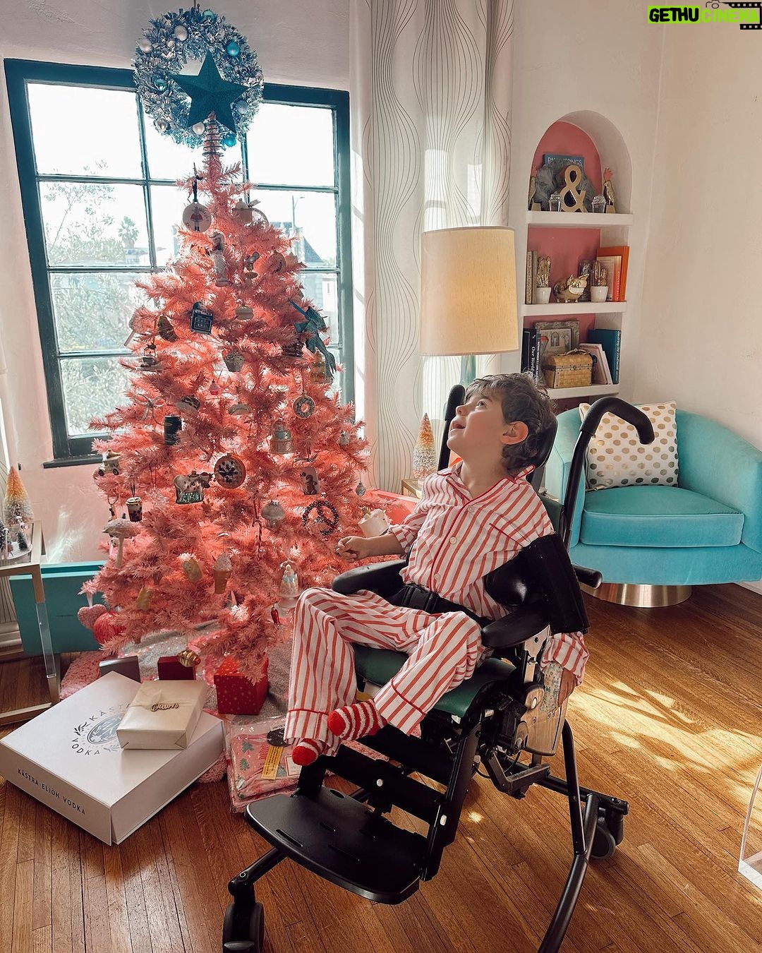 Dawn McCoy Instagram - God bless us, every one.🩷🎄