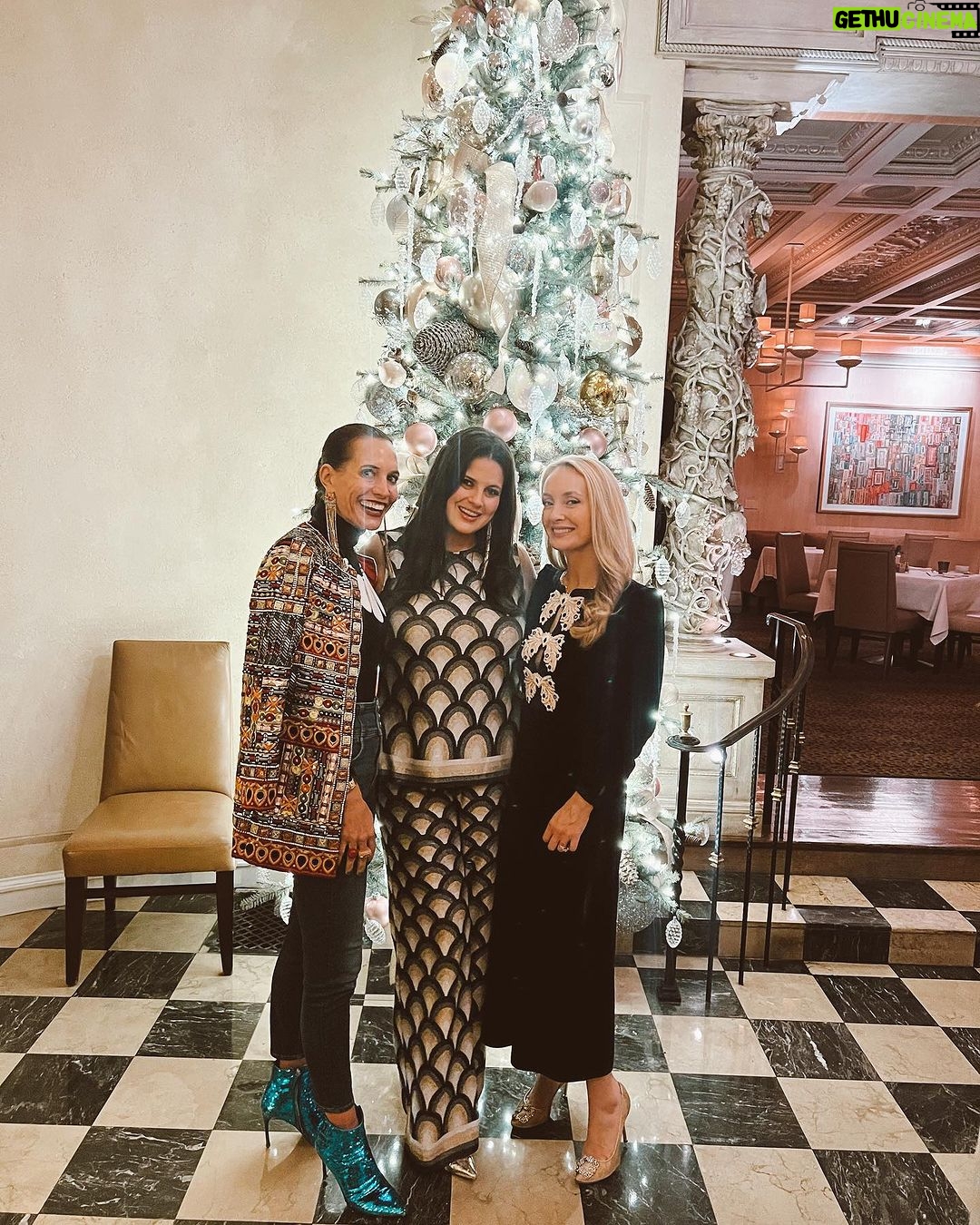 Dawn McCoy Instagram - As much as our Christmas in Dallas means family - It also means sweet, FUN, times with these wonderful women who have filled so many pages of my book of life thus far… and continue to color in new scenes of memories with their beautiful watercolor brushes every time we get together. From @rosewoodmansionturtlecreek with @hfergjewels & @kateswaildesigns & @margothogan - where it’s ALWAYS a rumpus room of a good time filled with deep dive conversation that’s just good for the heart to… @lebibliotheque lunch with @jennyhcrandall - where our history runs deep and so does the conversation to… Family dinner at @wagamamausa , celebrating @jennatate27’s birthday with @mamamcfarlin & Jenna & crew talking kids, court, criminals and high waiters. I cherish you ladies - and our treasured times together - SO much. Thank you for being there in the fun times and the not-so-fun times. You make even the seemingly impossible times possible.🩵 🦢🦢🦢