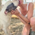 Debbie Gibson Instagram - I’m so thrilled to be playing for Second Chance Dog Rescue tonite 9/8c @abc.tv on @celebritywheeloffortune ! 🐶❤️ I met @joe_a_altieri of @rnrrescueav when my friends @fredcoury and @whatsamotta pointed me in his direction on Instagram when I was trying to save this beauty Henry you see pictured in this post. Henry was less than 24 hours away from euthanasia when I saw him highlighted with an urgent plea on @adopt_sanpedro. It took a village but we got him out of the kill shelter. He was then given a 6 week window to live as he was diagnosed with cancer. Well… after 2 years on Joe’s ranch, defying all odds, Henry just crossed the rainbow bridge 🌈 so it is so fitting to be playing in honour of Henry and all the worthy dogs looking for a safe place to land and for Joe and all the work he does to save one dog at a time. The love and care he puts into each one is truly the meaning of “rescue”. So many kill shelters are over run and doing their best in a system that does not make it feasible for facilities to take care of the overwhelming amount of animals coming in as strays and owner surrenders. Please… if you cannot care for your pet, responsibly re-home them. But dumping them on a highway or at a shelter is cruel and millions of animals are being put down each year. It’s an epidemic. Tune in tonite 9/8c ABC and also will be streaming on Hulu !!! My competitors @timgunn and @loueyfromthehood are goooood. It may be a nail biter ! But fingers crossed 🤞🏽!!! Let’s do it for the dogs ❤️🐶 PS : Henry is a pitbull, a breed often deemed as a liability and wrongly profiled. The only danger I was in was being kissed to death. Sign me up for that 😉 He also became fast friends with my Doxie Joey ! A sweetheart thru and thru. Rest in peace and power sweet Henry and thank you Joe for giving him the best years of his life ! #celebritywheeloffortune #dog #dogmom #dogrescue #pitbull #putbulls #pitbullsofinstagram