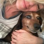 Debbie Gibson Instagram - TROUPER 🌈❤️ Crossed the Rainbow Bridge December 29, 2023 😢❤️🐕 @theanimalfoundation Last photo : @spanosphoto 6th Photo : Julie Savage #dog #rescuedog #dachshund #dachshundsofinstagram #rainbow bridge