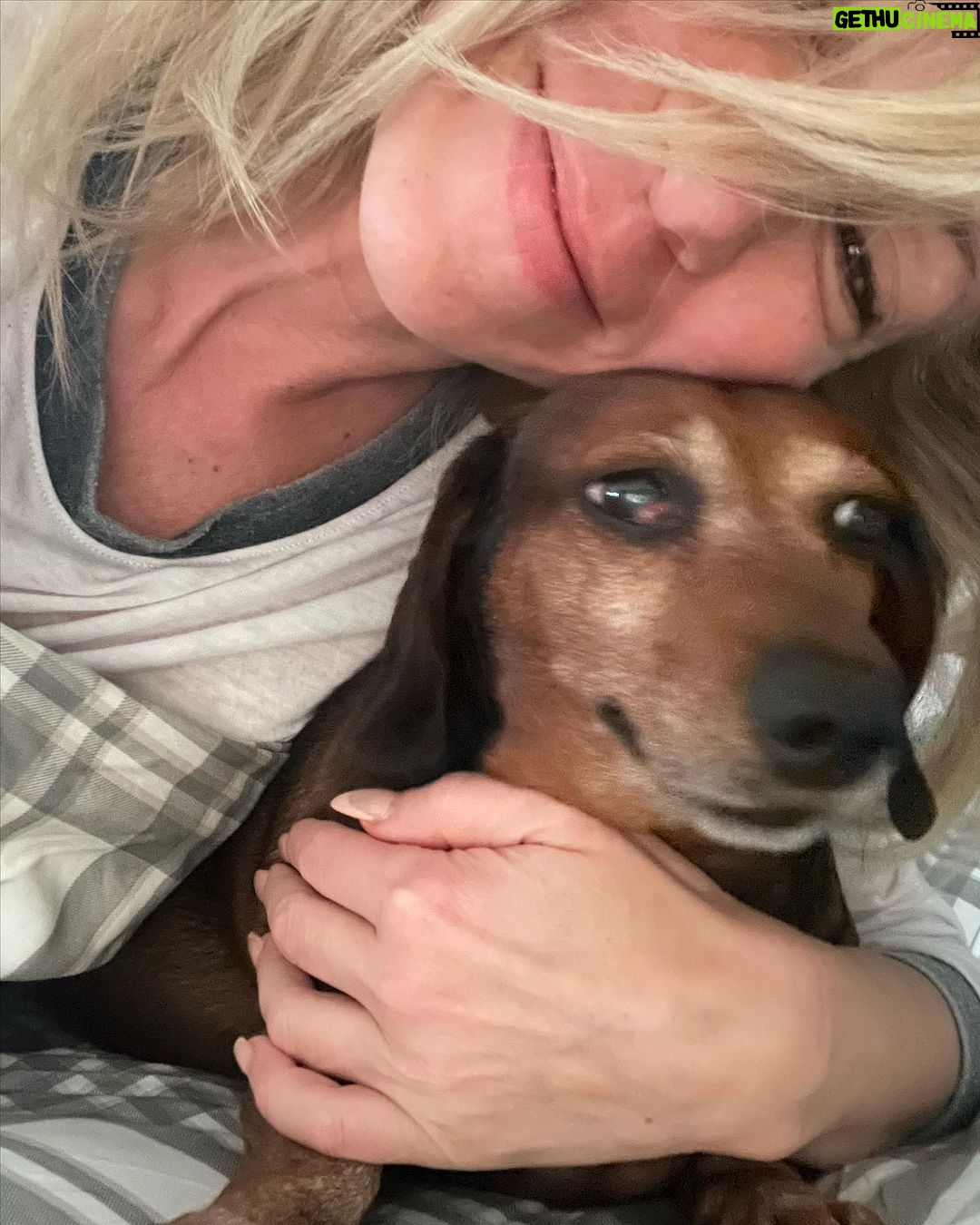 Debbie Gibson - 8.1K Likes - TROUPER 🌈❤️
Crossed the Rainbow Bridge December 29, 2023 😢❤️🐕
@theanimalfoundation
Last photo : @spanosphoto
6th Photo : Julie Savage
#dog #rescuedog #dachshund #dachshundsofinstagram #rainbow bridge
