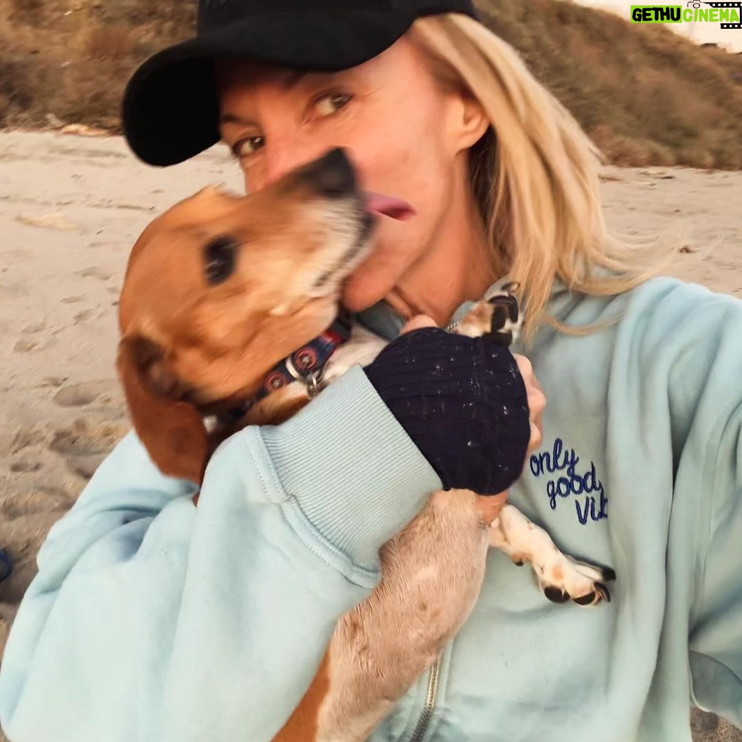 Debbie Gibson - 8.1K Likes - And then there were 2 …
❤️🐶 ❤️🐶
I had this beach scenario planned for our pack of 3 🐶 🌈coming up and I’m not gonna woulda coulda shoulda cuz the Universe has plans so far beyond what we can comprehend and those hindsight 20/20 glasses are apparently sold out. But we have been bonding and processing as a pack. As a family.
I’m so happy to have this moment to breathe and to feel everything because each loss we go through brings back previous loss in my experience.
I’m very serene, just introspective and taking stock of what and who is important in my life. I’m very intentional with my love and energy which always feels authentic. Extra vulnerable but, I wouldn’t have it any other way.
If you love hard , you’re gonna feel loss hard. And funny enough , in the wake of so much loss in the past couple of years I can only foresee loving even harder.
Tomorrow is 35 Years of Lost in Your Eyes. I don’t have any fancy post prepared as things have been kinda wild and I do my social media stuff myself. Just plan to talk to you all visually or through words. The music and how you’ve all embraced it says it ALL !!!
I look forward to sharing your stories and posts and please invite me to collab. Maybe one will strike my fancy !
G’night everyone 🤍
#beach #dog #dogmom #dachshundsofinstagram
PS Thank you @lecafedelaplagemalibu for my amazing hoodie ! 🩵