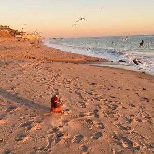 Debbie Gibson Instagram - And then there were 2 … 

❤️🐶 ❤️🐶 

I had this beach scenario planned for our pack of 3 🐶 🌈coming up and I’m not gonna woulda coulda shoulda cuz the Universe has plans so far beyond what we can comprehend and those hindsight 20/20 glasses are apparently sold out.  But we have been bonding and processing as a pack. As a family. 

I’m so happy to have this moment to breathe and to feel everything because each loss we go through brings back previous loss in my experience. 

I’m very serene, just introspective and taking stock of what and who is important in my life. I’m very intentional with my love and energy which always feels authentic. Extra vulnerable but, I wouldn’t have it any other way. 

If you love hard , you’re gonna feel loss hard. And funny enough , in the wake of so much loss in the past couple of years I can only foresee loving even harder. 

Tomorrow is 35 Years of Lost in Your Eyes.  I don’t have any fancy post prepared as things have been  kinda wild and I do my social media stuff myself.  Just plan to talk to you all visually or through words.  The music and how you’ve all embraced it says it ALL !!! 

I look forward to sharing your stories and posts and please invite me to collab. Maybe one will strike my fancy !

G’night everyone 🤍

#beach #dog #dogmom #dachshundsofinstagram

PS Thank you @lecafedelaplagemalibu for my amazing hoodie ! 🩵