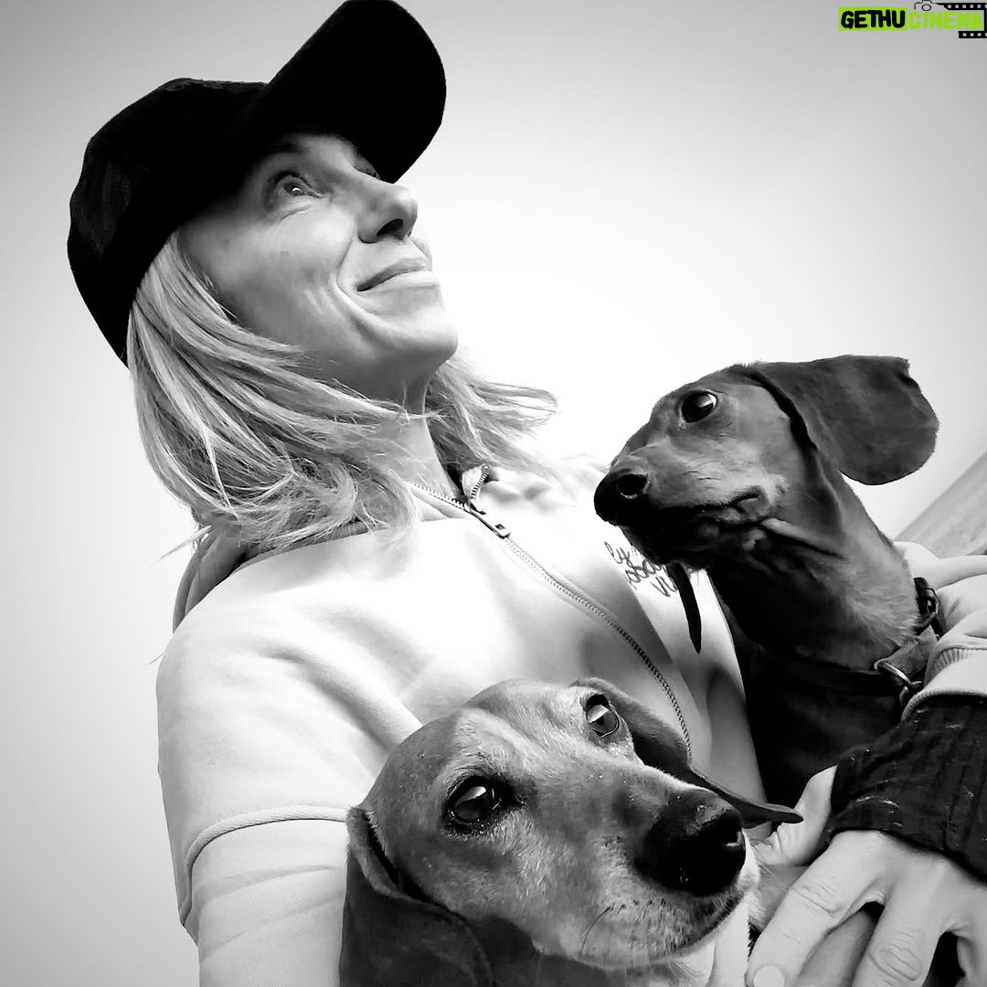 Debbie Gibson - 8.1K Likes - And then there were 2 …
❤️🐶 ❤️🐶
I had this beach scenario planned for our pack of 3 🐶 🌈coming up and I’m not gonna woulda coulda shoulda cuz the Universe has plans so far beyond what we can comprehend and those hindsight 20/20 glasses are apparently sold out. But we have been bonding and processing as a pack. As a family.
I’m so happy to have this moment to breathe and to feel everything because each loss we go through brings back previous loss in my experience.
I’m very serene, just introspective and taking stock of what and who is important in my life. I’m very intentional with my love and energy which always feels authentic. Extra vulnerable but, I wouldn’t have it any other way.
If you love hard , you’re gonna feel loss hard. And funny enough , in the wake of so much loss in the past couple of years I can only foresee loving even harder.
Tomorrow is 35 Years of Lost in Your Eyes. I don’t have any fancy post prepared as things have been kinda wild and I do my social media stuff myself. Just plan to talk to you all visually or through words. The music and how you’ve all embraced it says it ALL !!!
I look forward to sharing your stories and posts and please invite me to collab. Maybe one will strike my fancy !
G’night everyone 🤍
#beach #dog #dogmom #dachshundsofinstagram
PS Thank you @lecafedelaplagemalibu for my amazing hoodie ! 🩵