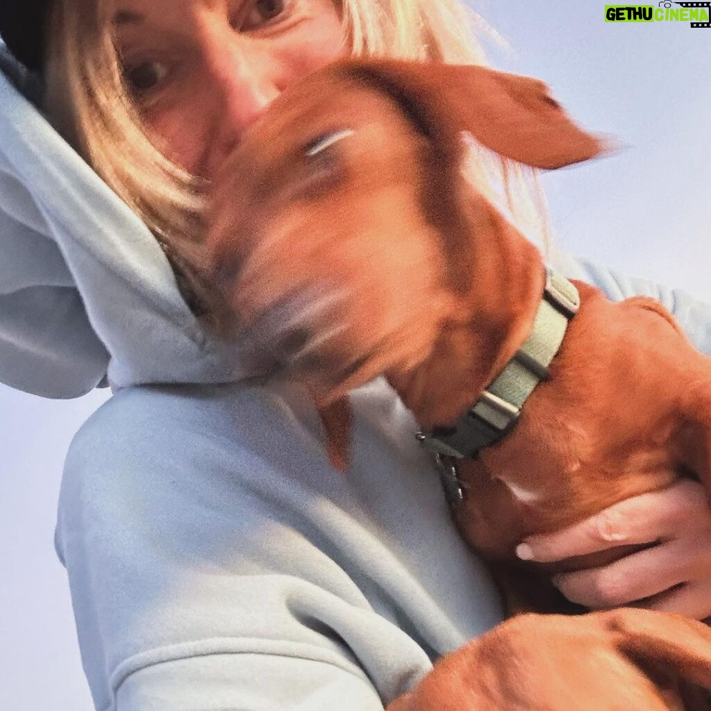 Debbie Gibson Instagram - And then there were 2 … ❤️🐶 ❤️🐶 I had this beach scenario planned for our pack of 3 🐶 🌈coming up and I’m not gonna woulda coulda shoulda cuz the Universe has plans so far beyond what we can comprehend and those hindsight 20/20 glasses are apparently sold out. But we have been bonding and processing as a pack. As a family. I’m so happy to have this moment to breathe and to feel everything because each loss we go through brings back previous loss in my experience. I’m very serene, just introspective and taking stock of what and who is important in my life. I’m very intentional with my love and energy which always feels authentic. Extra vulnerable but, I wouldn’t have it any other way. If you love hard , you’re gonna feel loss hard. And funny enough , in the wake of so much loss in the past couple of years I can only foresee loving even harder. Tomorrow is 35 Years of Lost in Your Eyes. I don’t have any fancy post prepared as things have been kinda wild and I do my social media stuff myself. Just plan to talk to you all visually or through words. The music and how you’ve all embraced it says it ALL !!! I look forward to sharing your stories and posts and please invite me to collab. Maybe one will strike my fancy ! G’night everyone 🤍 #beach #dog #dogmom #dachshundsofinstagram PS Thank you @lecafedelaplagemalibu for my amazing hoodie ! 🩵 Malibu Beach