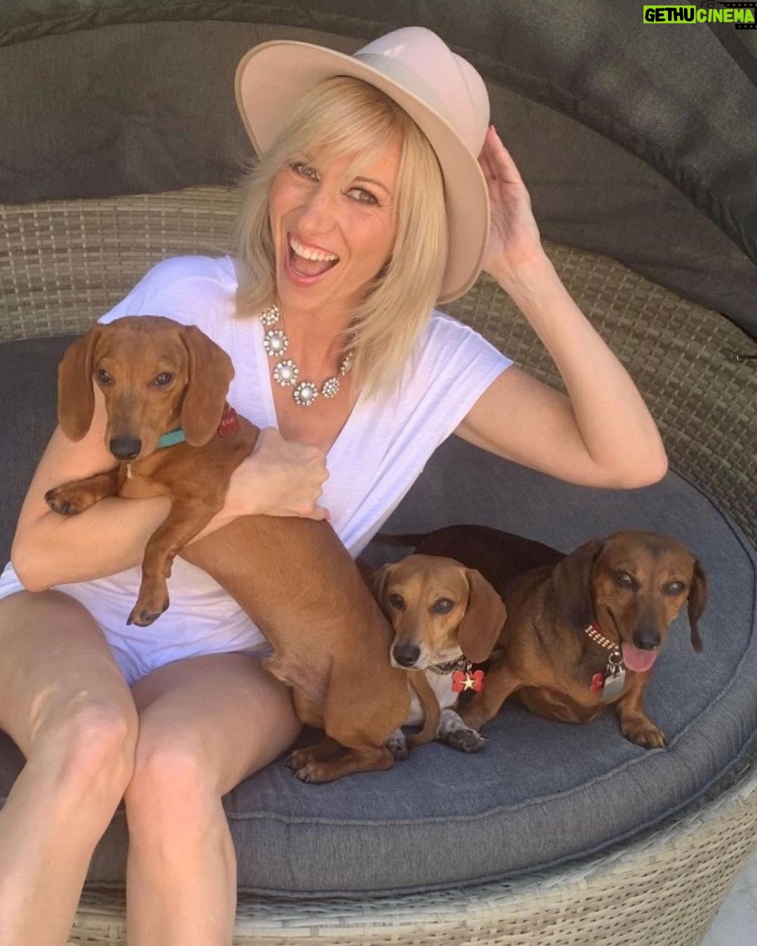 Debbie Gibson Instagram - TROUPER πβ€οΈ Crossed the Rainbow Bridge December 29, 2023 π’β€οΈπ @theanimalfoundation Last photo : @spanosphoto 6th Photo : Julie Savage #dog #rescuedog #dachshund #dachshundsofinstagram #rainbow bridge