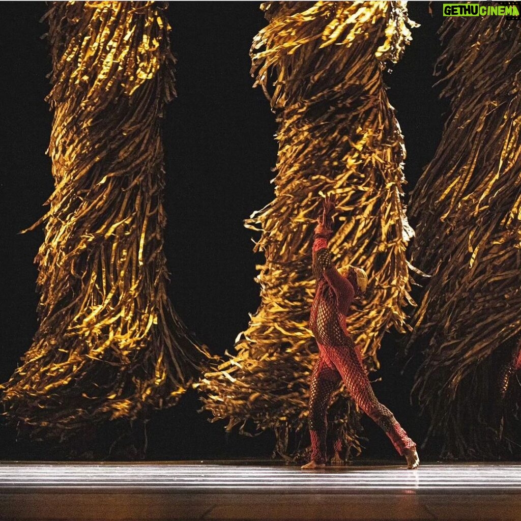 Deborah Colker Instagram - E hoje encerramos a temporada de 2023 com chave de ouro - foram três espetáculos de Cura no Taipei National Theatre, um encontro com a instituição da Epidermólise Bolhosa, e muitíssimas trocas de experiências e culturas! Obrigada, Taiwan!❤️ #ciadeborahcolker #deborahcolker #cura #curaemtaiwan #dançacontemporânea