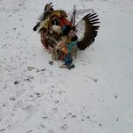 Deborah Colker Instagram - Que potência❤️❤️❤️❤️ Dança e cultura sempre caminharam juntos!! dança tradicional dos ‘native americans’ - pow wow dance créditos TikTok @jamestheotter e @nativeamerican.ig