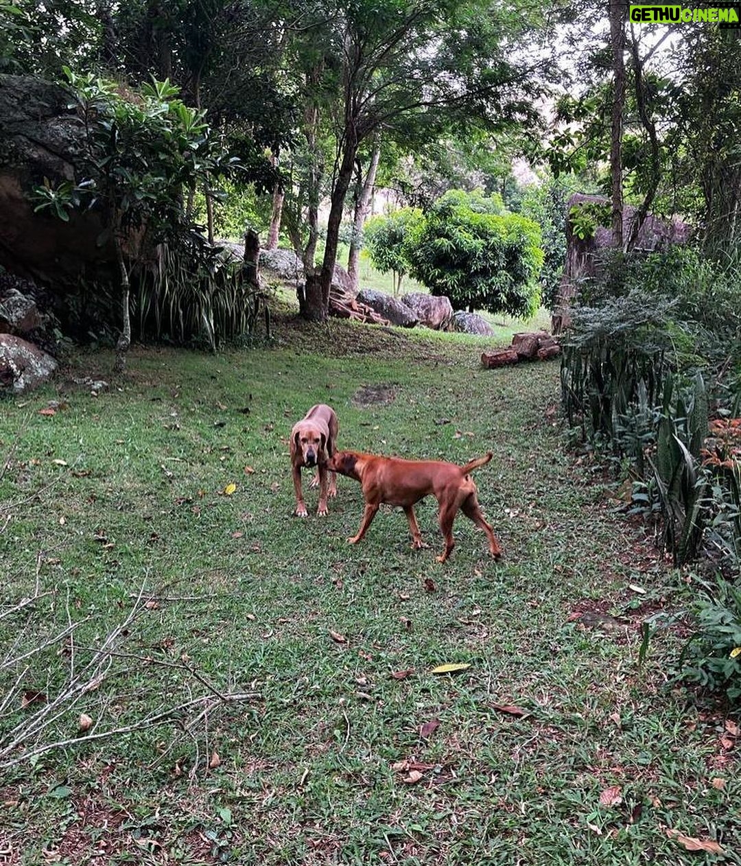 Deborah Colker Instagram - Vida que segue, mais um, que seja bom❤️