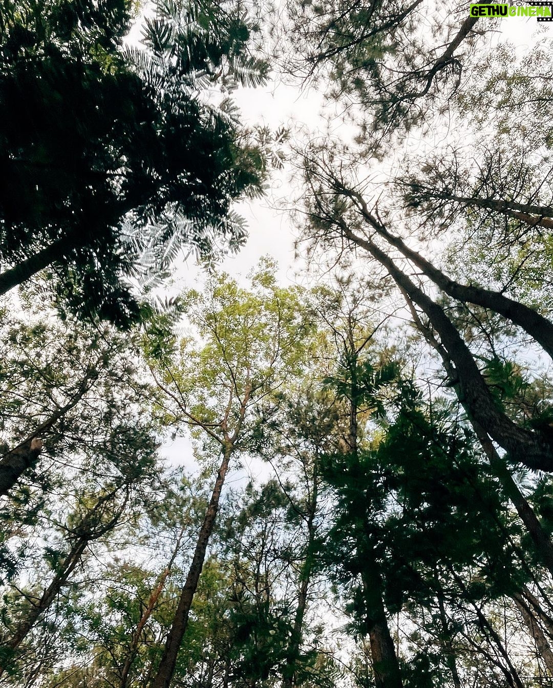 DeeGor Ho Instagram - 早晨,今晚九點係《#陰目偵信》首映 Recently…✨ 我只想講🗣️: 「#陰目偵訊#八月十號#上映啦#陰目偵信八月十號上映啦#陰目偵信八月十號上映啦#陰目偵信八月十號上映啦#陰目偵信八月十號上映啦#陰目偵信八月十號上映啦#陰目偵信八月十號上映啦#陰目偵信八月十號上映啦#陰目偵信八月十號上映啦#陰目偵信八月十號上映啦#陰目偵信八月十號上映啦#陰目偵信八月十號上映啦#陰目偵信八月十號上映啦#陰目偵信八月十號上映啦#陰目偵信八月十號上映啦#陰目偵信八月十號上映啦#陰目偵信八月十號上映啦#陰目偵信八月十號上映啦#陰目偵信八月十號上映啦#陰目偵信八月十號上映啦#陰目偵信八月十號上映啦#陰目偵信八月十號上映啦#陰目偵信八月十號上映啦#陰目偵信八月十號上映啦#陰目偵信八月十號上映啦#陰目偵信八月十號上映啦#陰目偵信八月十號上映啦#陰目偵信八月十號上映啦#陰目偵信八月十號上映啦#陰目偵信八月十號上映啦#陰目偵信八月十號上映啦#陰目偵信八月十號上映啦#陰目偵信八月十號上映啦#陰目偵信八月十號上映啦#陰目偵信八月十號上映啦#陰目偵信八月十號上映啦#陰目偵信八月十號上映啦#陰目偵信八月十號上映啦#陰目偵信八月十號上映啦#陰目偵信八月十號上映啦#陰目偵信八月十號上映啦#陰目偵信八月十號上映啦#陰目偵信八月十號上映啦#陰目偵信八月十號上映啦#陰目偵信八月十號上映啦#陰目偵信八月十號上映啦#陰目偵信八月十號上映啦#陰目偵信八月十號上映啦#陰目偵信八月十號上映啦#陰目偵信八月十號上映啦#陰目偵信八月十號上映啦#陰目偵信八月十號上映啦#陰目偵信八月十號上映啦#陰目偵信八月十號上映啦#陰目偵信八月十號上映啦#陰目偵信八月十號上映啦#陰目偵信八月十號上映啦#陰目偵信八月十號上映啦#陰目偵信八月十號上映啦#陰目偵信八月十號上映啦#陰目偵信八月十號上映啦#陰目偵信八月十號上映啦#陰目偵信八月十號上映啦#陰目偵信八月十號上映啦#陰目偵信八月十號上映啦#陰目偵信八月十號上映啦#仲有記得逢星期五睇埋#error暑期自作業#最後三集啦🥹」