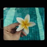 Deepika Padukone Instagram – A magical 1 of 366…yup, it’s a leap year!✨