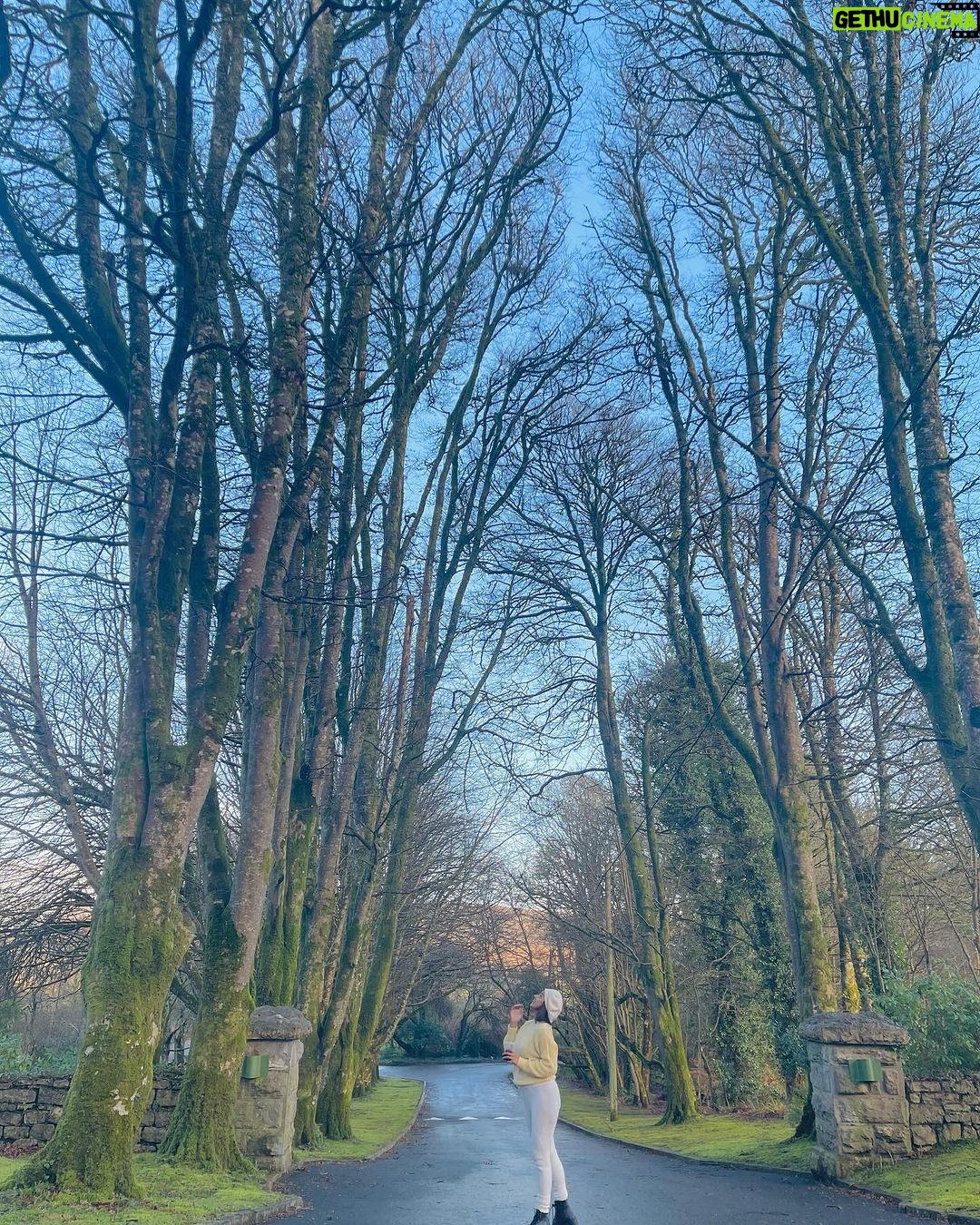 Delna Davis Instagram - Everything beautiful in its time. ✨ Ireland