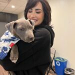 Demi Lovato Instagram - Did you even vote