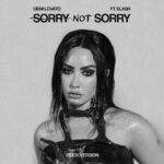 Demi Lovato Instagram - Did you bb’s Pre-Save Sorry Not Sorry yet? 🖤