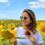 Derya Beşerler Instagram - Alıntıdır📍🌻"Günebakan tohumları, altın orana uygun olarak 137 derecelik açıyla sıralanıyor.Bu diziliş tohumların aynı boyda olmasını, merkezde sıkışmamasını sağlıyor; kenarlarda alan kaybını önlüyor… Altın oranın mükemmel bir örneği... " az önce bu bilgiyi okuyunca çitleme fikrinden saygı duruşuna geçtim🤚🏼inanılmaz değil mi?😍 #tbt #sunflowers🌻