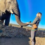 Devin Lytle Instagram – 🐘🐘🐘

Ok, I officially apologize – this page will be a wildlife and Southern Africa travelgram for a good while. It’s not lost on me that I am privileged to travel, and I want to spend some time highlighting some of the incredible work that is happening in conservation in this part of the world. @elephantmoments is a great example of this kind of mission.

Last Sunday, we woke up at 5am to get to the Kapama game reserve in Hoedsprite, SA by 6:30. There we met Tiger, a man who has dedicated his life’s work to caretaking the rescued Jubalani herd. Elephants are animals that follow water, so when human development and industry encroaches on their watering holes, some African countries cull the population in their region. Sanctuaries like the one at Kapama provide support and land for families to thrive in peace. 

Holding the gaze of an elephant is a soulful experience that I wish I could do everyday for the rest of my life, as crazy as that sounds. Ultimately, these animals deserve to be wild and free and protected, and I am so grateful for the people in our world who are making sure that happens in my lifetime.