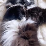 Devin Lytle Instagram - Happy Friday humans! #friday #dopamine #nap