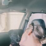 Devin Lytle Instagram - Disco dog’s first car wash! Watching her experience her firsts is such a treat for me. She did so well. 🪩🥲