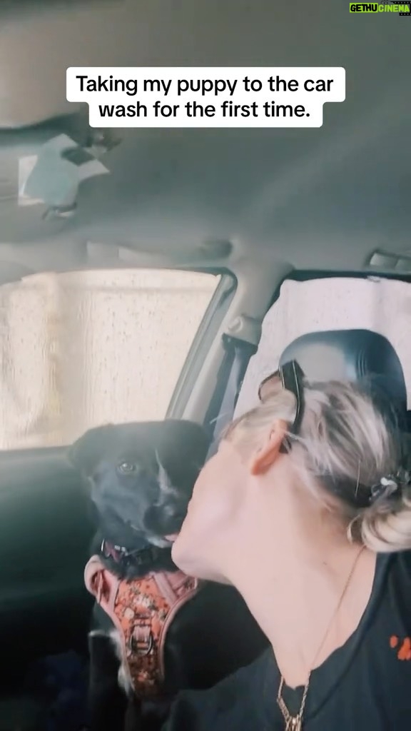 Devin Lytle Instagram - Disco dog’s first car wash! Watching her experience her firsts is such a treat for me. She did so well. 🪩🥲