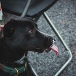 Devin Lytle Instagram – throw out your instagram boyfriend. get you a sony rx10 IV fiancé.