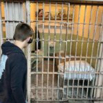 Devon Sawa Instagram - He was absolutely fascinated this day. Alcatraz.