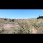 Devon Sawa Instagram -