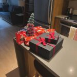 Devon Sawa Instagram – Headed home bearing  gifts and my Whoville tree. Gonna miss you Toronto.