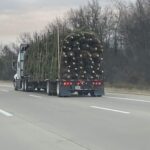 Devon Sawa Instagram – Driving behind this log truck carrying Christmas trees and thought I’d wish you all a happy holidays!