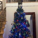 Devon Sawa Instagram - Put up the Christmas tree today.