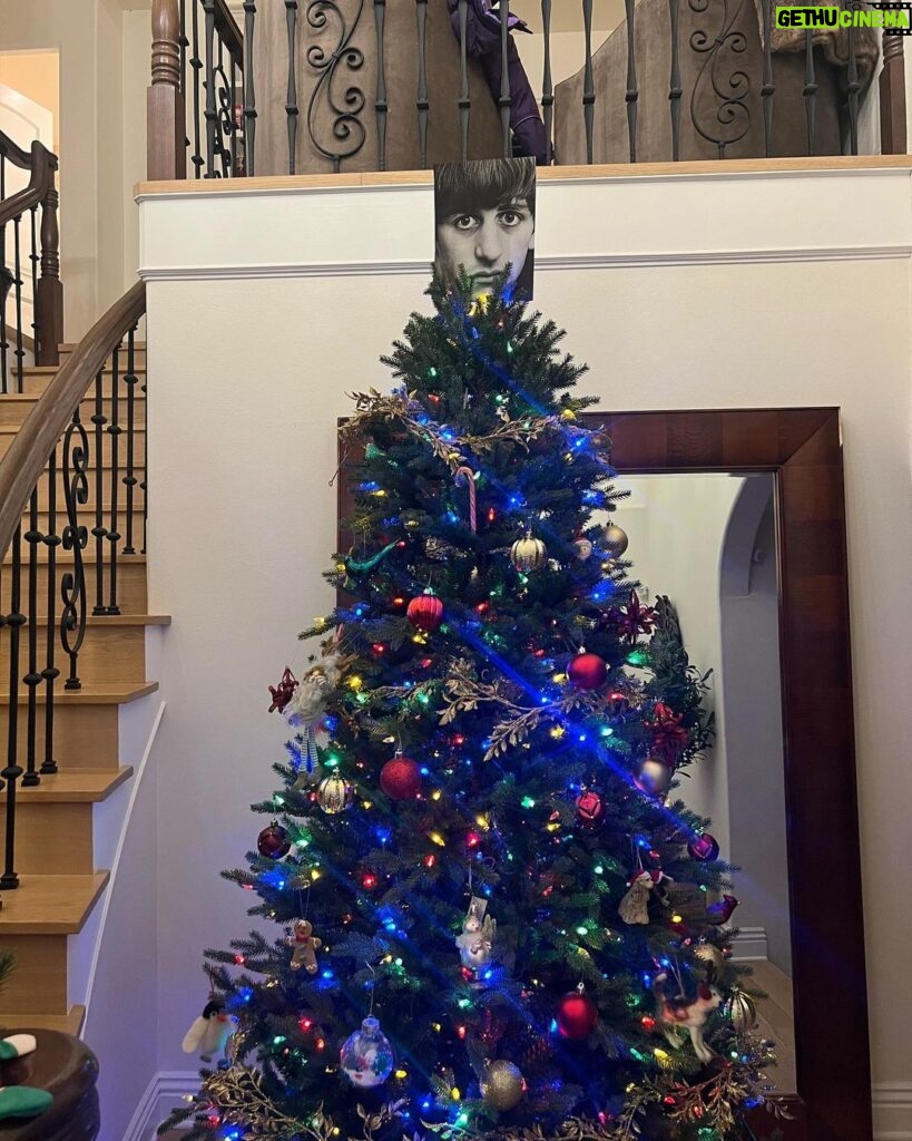 Devon Sawa Instagram - Put up the Christmas tree today.