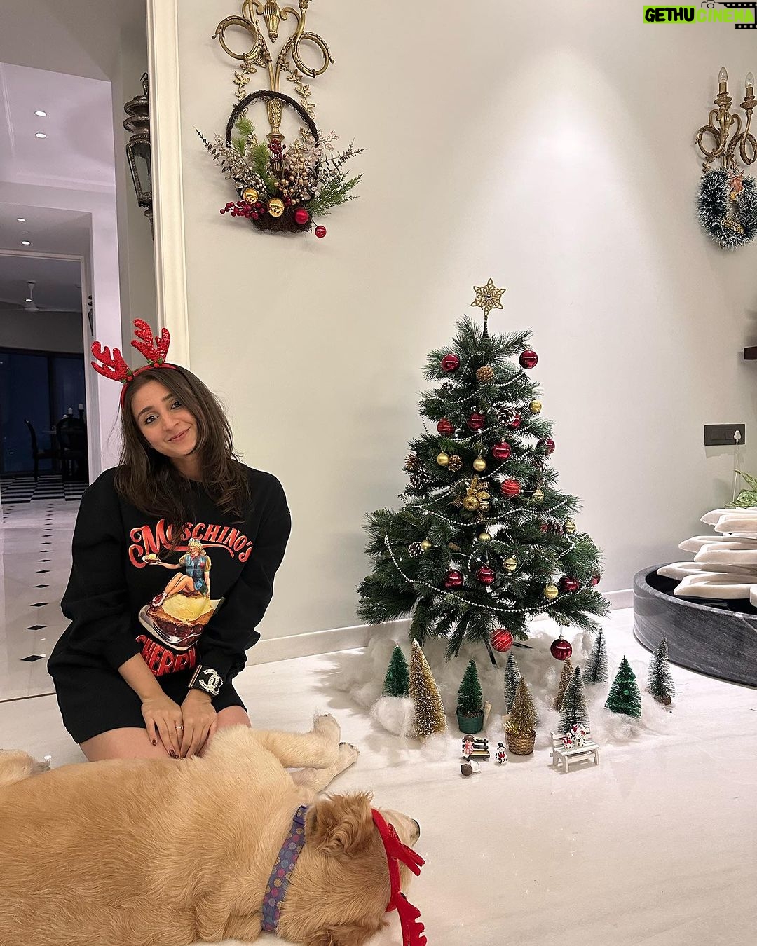 Dhvani Bhanushali Instagram - Merry Christmas and happy holidays ❤️🎄 Decorated a tree and a ginger bread cookie 🤓