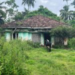 Diana Nicolau Instagram - Photo dump de momentos que me fizeram sorrir atrás da câmara. ☺️ #srilanka Sri Lanka