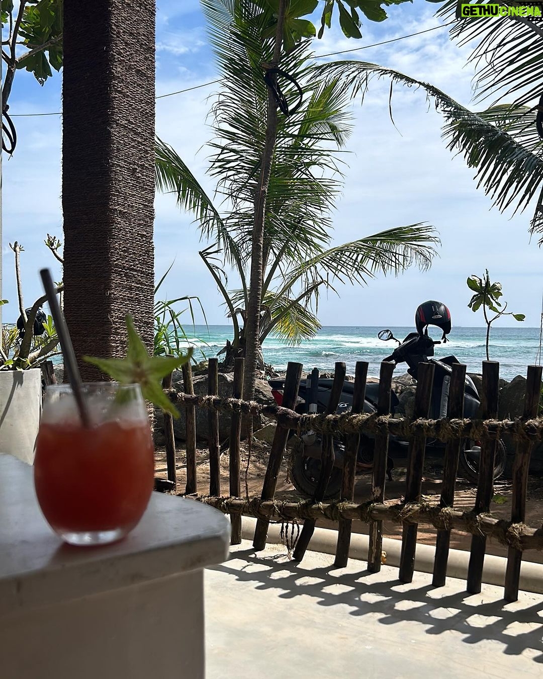 Diana Nicolau Instagram - Time to say goodbye to Sri Lanka. 🥹🥹🥹 Mudei de planos. À mesa numa conversa ontem eu dizia que estava com um problema porque não sabia pra onde devia ir a seguir, se Índia, se Vietname, Maldivas, Filipinas ou Cambodja. Se este é o meu problema, não tenho problema nenhum. Está caladinha mas é e muita #gratiluz por este problema bom. Elas diziam: “Just book a flight.” Ok, então moeda ao ar e decidi Cambodja. Depois daí atravesso a fronteira por terra e vou para o Vietname que lá tenho uma surpresa à minha espera para o revelhão. 🥳 Isso e o espectáculo @desconfortavel_um_monologo em Janeiro em Lisboa são as únicas coisas planeadas, ou achavam que já não voltava mais? 😏 (Já agora os bilhetes continuam à venda ▶️link na bio◀️) Onde é que eu ia?… 🤔 Ah! 😌As possibilidades são infinitivas. Quer dizer, médio. Possibilidades dentro de um orçamento low cost, que a miúda é doida mas não é rica. 🤑 E quando vi que os voos para o Cambodja estavam carotes, alguém disse: “Try Thailand, it’s cheaper!” E não é que é mesmo. 🤩 E já que voar da Tailândia é mais barato, porque não aproveitar e passar uns dias em Bangkok que não conheço. Afinal de contas, depois de duas semanas de praia e papo pro ar, esta alma inquieta já está com saudades de um frenesim de cidade e tuktuks. 😵💫😵💫😵💫🤪🤪 Pronto, então ‘tá feito. Amanhã logo venho contar a que é que sabe o Pad Thai por lá. Aceito dicas para o meu pitstop de 48horas em Bangkok. 😏🤘🏼 Grati quê? Luz. 🙏