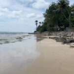 Diana Nicolau Instagram - Time to say goodbye to Sri Lanka. 🥹🥹🥹 Mudei de planos. À mesa numa conversa ontem eu dizia que estava com um problema porque não sabia pra onde devia ir a seguir, se Índia, se Vietname, Maldivas, Filipinas ou Cambodja. Se este é o meu problema, não tenho problema nenhum. Está caladinha mas é e muita #gratiluz por este problema bom. Elas diziam: “Just book a flight.” Ok, então moeda ao ar e decidi Cambodja. Depois daí atravesso a fronteira por terra e vou para o Vietname que lá tenho uma surpresa à minha espera para o revelhão. 🥳 Isso e o espectáculo @desconfortavel_um_monologo em Janeiro em Lisboa são as únicas coisas planeadas, ou achavam que já não voltava mais? 😏 (Já agora os bilhetes continuam à venda ▶️link na bio◀️) Onde é que eu ia?… 🤔 Ah! 😌As possibilidades são infinitivas. Quer dizer, médio. Possibilidades dentro de um orçamento low cost, que a miúda é doida mas não é rica. 🤑 E quando vi que os voos para o Cambodja estavam carotes, alguém disse: “Try Thailand, it’s cheaper!” E não é que é mesmo. 🤩 E já que voar da Tailândia é mais barato, porque não aproveitar e passar uns dias em Bangkok que não conheço. Afinal de contas, depois de duas semanas de praia e papo pro ar, esta alma inquieta já está com saudades de um frenesim de cidade e tuktuks. 😵‍💫😵‍💫😵‍💫🤪🤪 Pronto, então ‘tá feito. Amanhã logo venho contar a que é que sabe o Pad Thai por lá. Aceito dicas para o meu pitstop de 48horas em Bangkok. 😏🤘🏼 Grati quê? Luz. 🙏