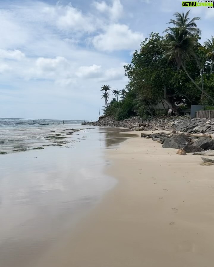 Diana Nicolau Instagram - Time to say goodbye to Sri Lanka. 🥹🥹🥹 Mudei de planos. À mesa numa conversa ontem eu dizia que estava com um problema porque não sabia pra onde devia ir a seguir, se Índia, se Vietname, Maldivas, Filipinas ou Cambodja. Se este é o meu problema, não tenho problema nenhum. Está caladinha mas é e muita #gratiluz por este problema bom. Elas diziam: “Just book a flight.” Ok, então moeda ao ar e decidi Cambodja. Depois daí atravesso a fronteira por terra e vou para o Vietname que lá tenho uma surpresa à minha espera para o revelhão. 🥳 Isso e o espectáculo @desconfortavel_um_monologo em Janeiro em Lisboa são as únicas coisas planeadas, ou achavam que já não voltava mais? 😏 (Já agora os bilhetes continuam à venda ▶️link na bio◀️) Onde é que eu ia?… 🤔 Ah! 😌As possibilidades são infinitivas. Quer dizer, médio. Possibilidades dentro de um orçamento low cost, que a miúda é doida mas não é rica. 🤑 E quando vi que os voos para o Cambodja estavam carotes, alguém disse: “Try Thailand, it’s cheaper!” E não é que é mesmo. 🤩 E já que voar da Tailândia é mais barato, porque não aproveitar e passar uns dias em Bangkok que não conheço. Afinal de contas, depois de duas semanas de praia e papo pro ar, esta alma inquieta já está com saudades de um frenesim de cidade e tuktuks. 😵💫😵💫😵💫🤪🤪 Pronto, então ‘tá feito. Amanhã logo venho contar a que é que sabe o Pad Thai por lá. Aceito dicas para o meu pitstop de 48horas em Bangkok. 😏🤘🏼 Grati quê? Luz. 🙏