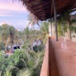 Diana Nicolau Instagram - Time to say goodbye to Sri Lanka. 🥹🥹🥹 Mudei de planos. À mesa numa conversa ontem eu dizia que estava com um problema porque não sabia pra onde devia ir a seguir, se Índia, se Vietname, Maldivas, Filipinas ou Cambodja. Se este é o meu problema, não tenho problema nenhum. Está caladinha mas é e muita #gratiluz por este problema bom. Elas diziam: “Just book a flight.” Ok, então moeda ao ar e decidi Cambodja. Depois daí atravesso a fronteira por terra e vou para o Vietname que lá tenho uma surpresa à minha espera para o revelhão. 🥳 Isso e o espectáculo @desconfortavel_um_monologo em Janeiro em Lisboa são as únicas coisas planeadas, ou achavam que já não voltava mais? 😏 (Já agora os bilhetes continuam à venda ▶️link na bio◀️) Onde é que eu ia?… 🤔 Ah! 😌As possibilidades são infinitivas. Quer dizer, médio. Possibilidades dentro de um orçamento low cost, que a miúda é doida mas não é rica. 🤑 E quando vi que os voos para o Cambodja estavam carotes, alguém disse: “Try Thailand, it’s cheaper!” E não é que é mesmo. 🤩 E já que voar da Tailândia é mais barato, porque não aproveitar e passar uns dias em Bangkok que não conheço. Afinal de contas, depois de duas semanas de praia e papo pro ar, esta alma inquieta já está com saudades de um frenesim de cidade e tuktuks. 😵‍💫😵‍💫😵‍💫🤪🤪 Pronto, então ‘tá feito. Amanhã logo venho contar a que é que sabe o Pad Thai por lá. Aceito dicas para o meu pitstop de 48horas em Bangkok. 😏🤘🏼 Grati quê? Luz. 🙏