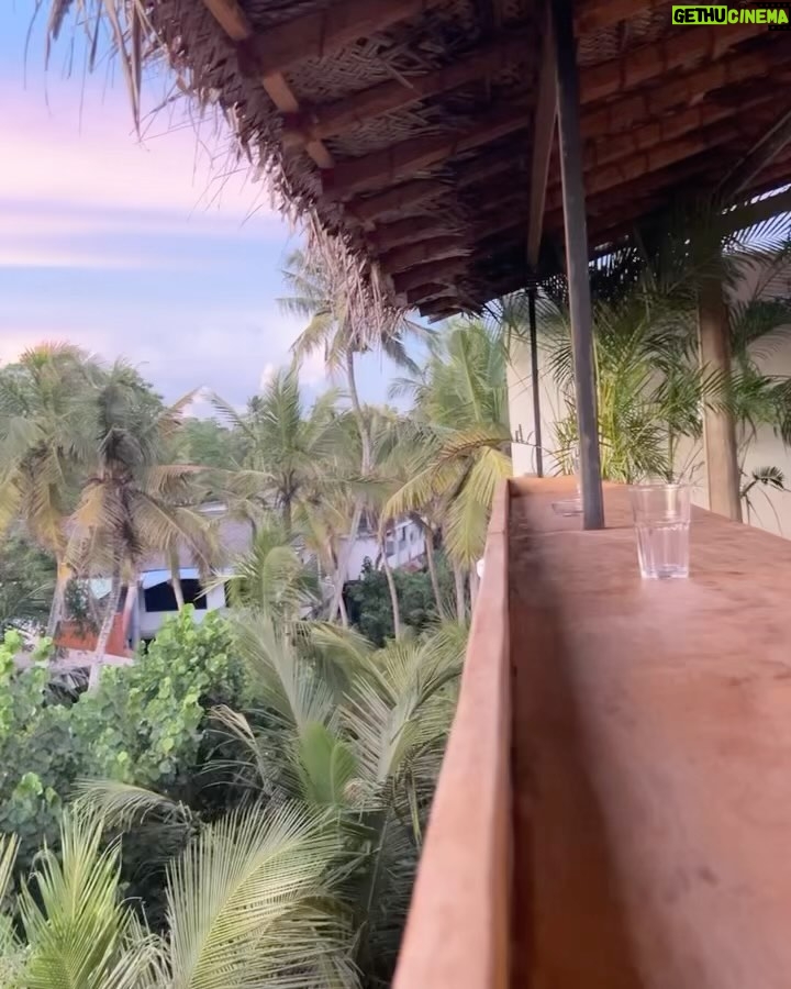 Diana Nicolau Instagram - Time to say goodbye to Sri Lanka. 🥹🥹🥹 Mudei de planos. À mesa numa conversa ontem eu dizia que estava com um problema porque não sabia pra onde devia ir a seguir, se Índia, se Vietname, Maldivas, Filipinas ou Cambodja. Se este é o meu problema, não tenho problema nenhum. Está caladinha mas é e muita #gratiluz por este problema bom. Elas diziam: “Just book a flight.” Ok, então moeda ao ar e decidi Cambodja. Depois daí atravesso a fronteira por terra e vou para o Vietname que lá tenho uma surpresa à minha espera para o revelhão. 🥳 Isso e o espectáculo @desconfortavel_um_monologo em Janeiro em Lisboa são as únicas coisas planeadas, ou achavam que já não voltava mais? 😏 (Já agora os bilhetes continuam à venda ▶️link na bio◀️) Onde é que eu ia?… 🤔 Ah! 😌As possibilidades são infinitivas. Quer dizer, médio. Possibilidades dentro de um orçamento low cost, que a miúda é doida mas não é rica. 🤑 E quando vi que os voos para o Cambodja estavam carotes, alguém disse: “Try Thailand, it’s cheaper!” E não é que é mesmo. 🤩 E já que voar da Tailândia é mais barato, porque não aproveitar e passar uns dias em Bangkok que não conheço. Afinal de contas, depois de duas semanas de praia e papo pro ar, esta alma inquieta já está com saudades de um frenesim de cidade e tuktuks. 😵💫😵💫😵💫🤪🤪 Pronto, então ‘tá feito. Amanhã logo venho contar a que é que sabe o Pad Thai por lá. Aceito dicas para o meu pitstop de 48horas em Bangkok. 😏🤘🏼 Grati quê? Luz. 🙏