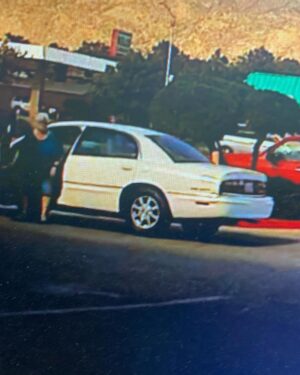 Diego Sanchez Instagram - Thanks to the surveillance cameras @3dkutzbarbershop where duko went missing on Saturday evening around 5:45pm the lady did not check around for a owner before swooping him in her car and leaving with my dog. Please everybody repost on IG and Facebook there will be a reward for the one who can track her or duko down. If found you can take to barber shop or dm comment me and we can link on the phone. Please help me find my duko he’s very special and I need him back. Dm me if you find anything out