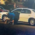Diego Sanchez Instagram – Thanks to the surveillance cameras @3dkutzbarbershop where duko went missing on Saturday evening around 5:45pm the lady did not check around for a owner before swooping him in her car and leaving with my dog. Please everybody repost on IG and Facebook there will be a reward for the one who can track her or duko down. If found you can take to barber shop or dm comment me and we can link on the phone. Please help me find my duko he’s very special and I need him back. Dm me if you find anything out 3D Kutz Barber Shop