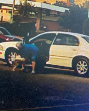 Diego Sanchez Instagram - Thanks to the surveillance cameras @3dkutzbarbershop where duko went missing on Saturday evening around 5:45pm the lady did not check around for a owner before swooping him in her car and leaving with my dog. Please everybody repost on IG and Facebook there will be a reward for the one who can track her or duko down. If found you can take to barber shop or dm comment me and we can link on the phone. Please help me find my duko he’s very special and I need him back. Dm me if you find anything out