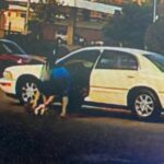 Diego Sanchez Instagram – Thanks to the surveillance cameras @3dkutzbarbershop where duko went missing on Saturday evening around 5:45pm the lady did not check around for a owner before swooping him in her car and leaving with my dog. Please everybody repost on IG and Facebook there will be a reward for the one who can track her or duko down. If found you can take to barber shop or dm comment me and we can link on the phone. Please help me find my duko he’s very special and I need him back. Dm me if you find anything out 3D Kutz Barber Shop
