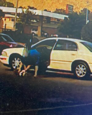 Diego Sanchez Instagram - Thanks to the surveillance cameras @3dkutzbarbershop where duko went missing on Saturday evening around 5:45pm the lady did not check around for a owner before swooping him in her car and leaving with my dog. Please everybody repost on IG and Facebook there will be a reward for the one who can track her or duko down. If found you can take to barber shop or dm comment me and we can link on the phone. Please help me find my duko he’s very special and I need him back. Dm me if you find anything out