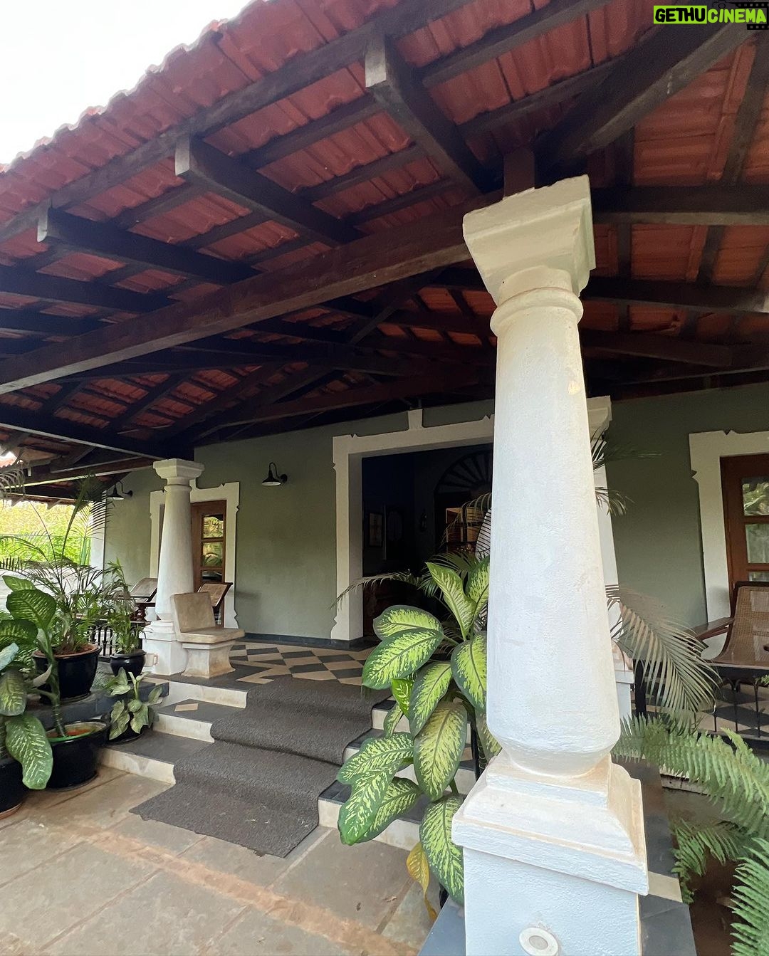 Diipa Khosla Instagram - The getaway I didn’t know I needed with @rainforestvillasgoa 😍🤎 Goa