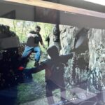 Dimitri Logothetis Instagram - Leaping, jumping, shooting. Gunner film. …………………………………………………………………………………………………………….........................................................................................#mr_madrax #kickboxerretaliation #jcvd #ironmike #ufc #mma #wwe #martialarts #actionfilm #dimitrisite #brianshaw #morganfreemanforpresident #lukehemsworth #muay_thai #jackiechan #alainmoussi #chrishemsworthfanpage #hkcinemaappreciationsociety #missionimpossible #jiujitsu #shawstrenght #johnwick #morganfreeman #arnoldschwarzenegger #ufc #keanureeves #tonyjaa #johnwhick #joerogan #vindieselfans #tomcruise