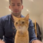 Dino Fetscher Instagram - 🎃🎃🎃😍IT’S A HALLOWEEN MIRACLE 😍🎃🎃🎃 After fostering this funny lil guy, a stray found with no microchip and in a bad way, @chriswilsonvet and I have decided (thanks to our lovely landlady ♥️) to permanently adopt him! I mean how could we not? Look at him. 🎃🎃🎃🎃🎃🎃🎃🎃🎃🎃🎃🎃🎃🎃🎃🎃🎃🎃 Everyone, meet Pumpkin😻 The newest member of the family ♥️