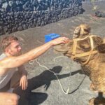 Dino Fetscher Instagram - Making pals at work; this is Federico! 🐫♥️🐪