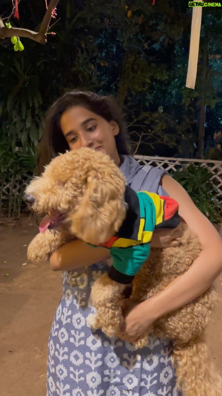 Divyadisha Mohanty Instagram - Everyone say hello to Taco !!!!