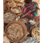 Divyadisha Mohanty Instagram – Sukhua ……