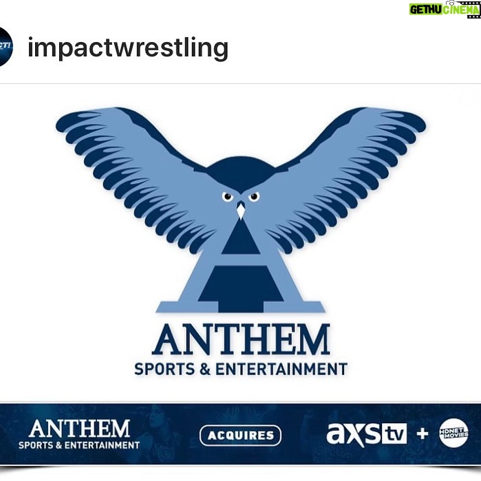 Dixie Carter-Salinas Instagram - Kudos to Anthem Sports & Entertainment on acquiring @axstv @hdnetmovies. @mcuban & @iamsteveharveytv will be great partners. #wrestling #impactwrestling
